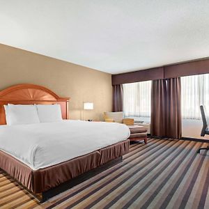 King Room Disability Access